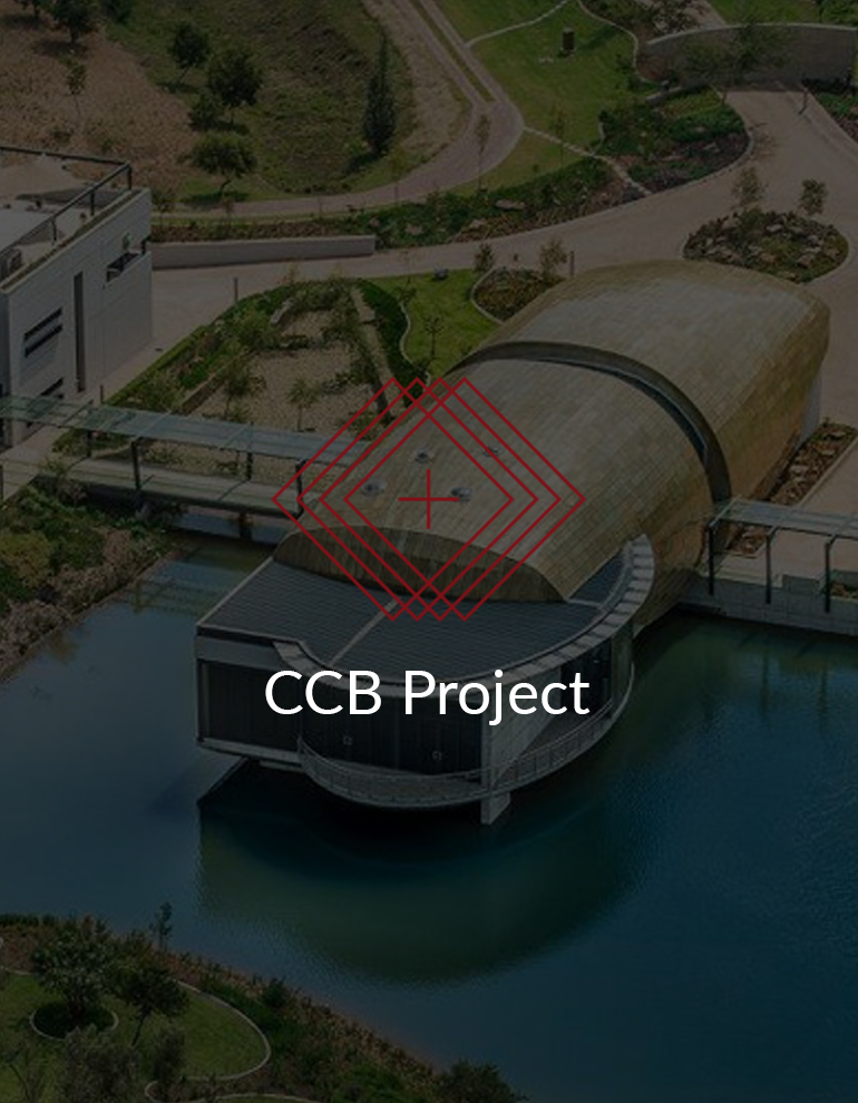 ccb-feat21
